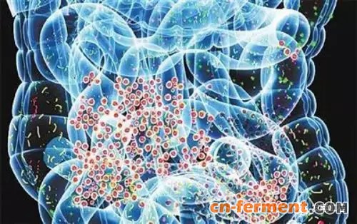 中药发酵研究纳入中科院&ldquo;微生物组计划&rdquo;