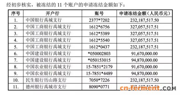 假报账本、虚拟资产，龙力生物&ldquo;身体&rdquo;或已&ldquo;被掏空&rdquo;