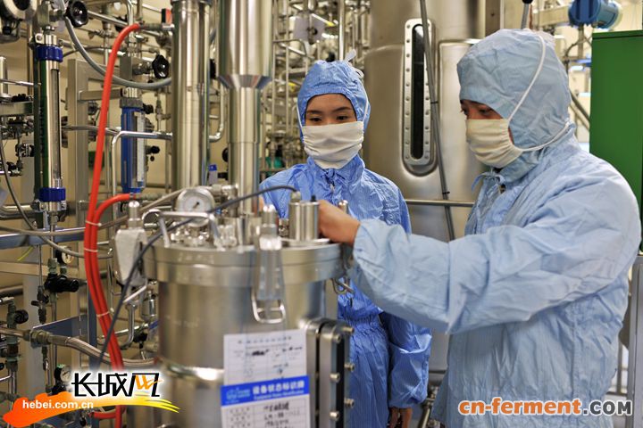 金坦公司乙肝疫苗车间职工正在生产。