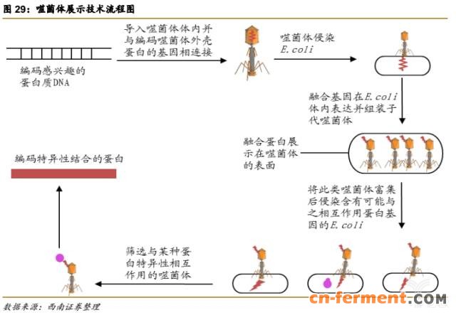 366亿美元市场规模,生物类似药将抢占20%市场 366亿美元市场规模,生物类似药将抢占20%市场
