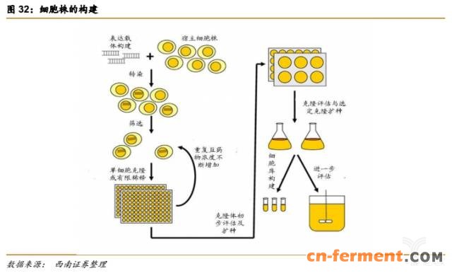 366亿美元市场规模,生物类似药将抢占20%市场 366亿美元市场规模,生物类似药将抢占20%市场