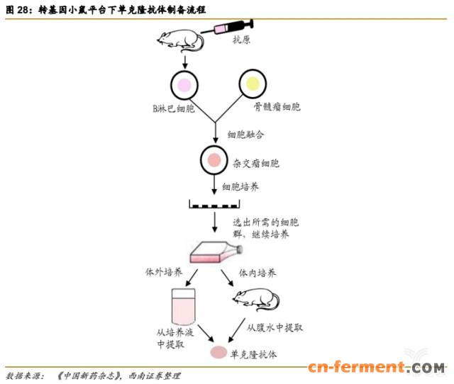 366亿美元市场规模,生物类似药将抢占20%市场 366亿美元市场规模,生物类似药将抢占20%市场