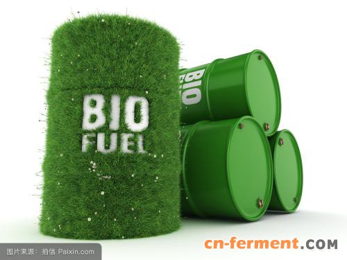 生物燃料制取技术有突破