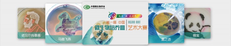 琼脂匠心，传播科研艺术之美