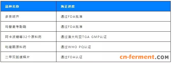 表格10 海外注册进展.webp