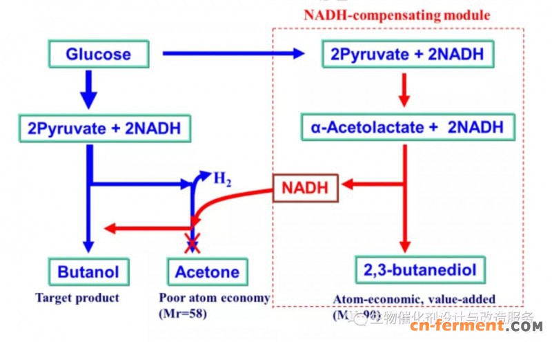 南工大应汉杰实验室将溶剂发酵糖转化率提升至44%！