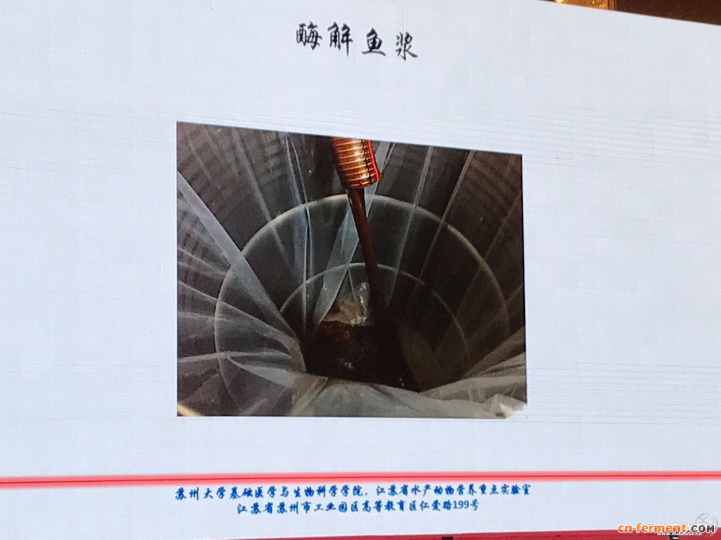 叶元土：饲料原料的发酵、酶解技术在水产的应用