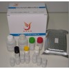 地塞米松（dexamethasone）酶联免疫检测试剂盒