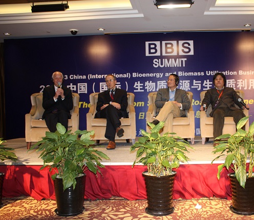 2014（第二届）中国（国际）生物质能源与生物质利用高峰论坛
