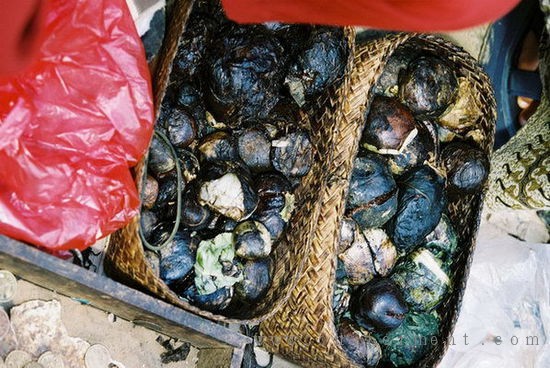 生鸦片生物工程副教授克里斯蒂娜·斯默克(christina smolke)教授带领