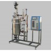 KRH-APJ100L机械搅拌不锈钢发酵罐