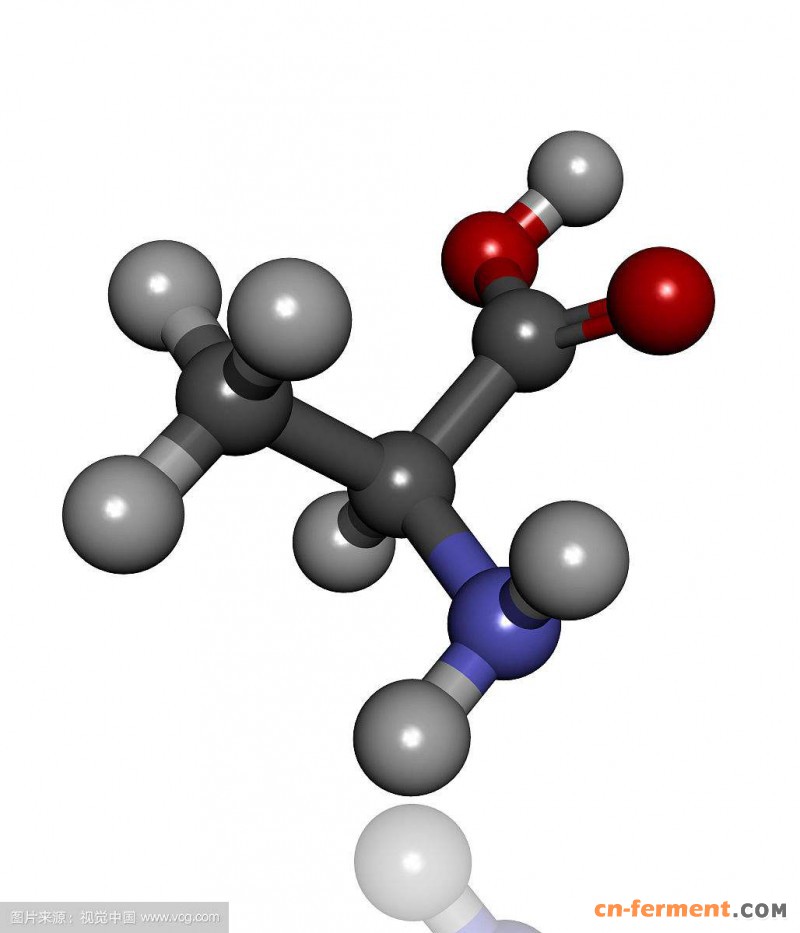 安徽丰原生化年产3万吨的l-丙氨酸生产线投料试车