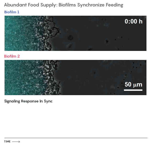 632_613gif 动态图 动图