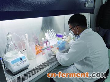 博隆基因治疗性生物制品实验室内的研发人员。 周 伟 摄