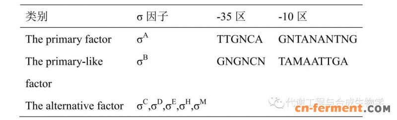 谷氨酸棒状杆菌中σ因子