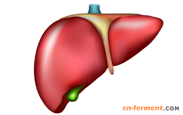 乐复能：首个由中国人命名的生物新药