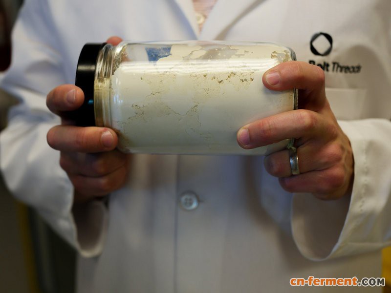 美国公司Bolt Threads利用酵母发酵生产人造蛛丝