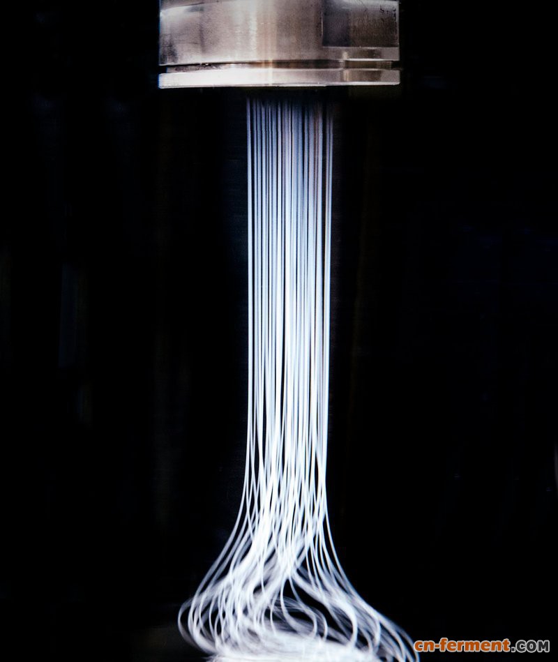 美国公司Bolt Threads利用酵母发酵生产人造蛛丝