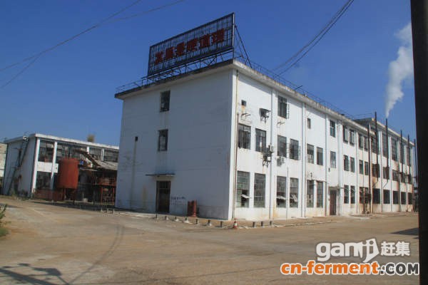 台州仙居 厂房出租 1元/㎡&middot;天