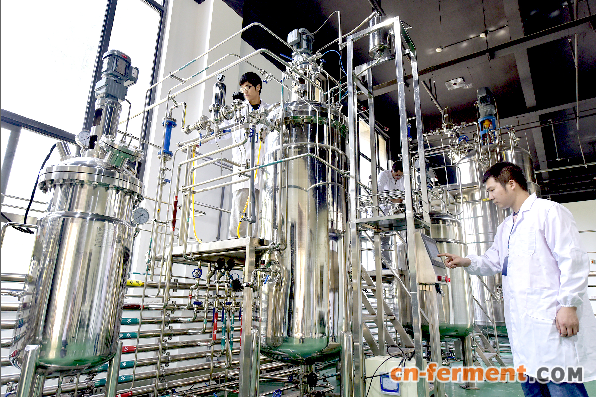 湖北胜苗生物科技有限公司技术人员生产线上忙碌