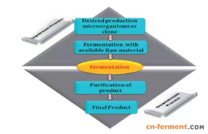 图1:常规蛋白制造流程