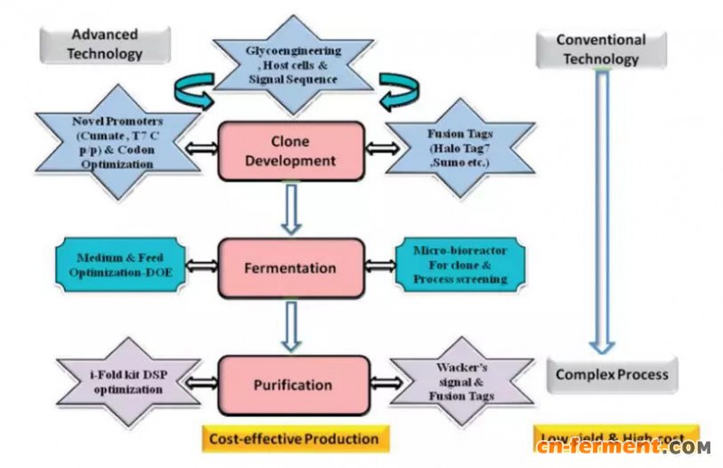  图2  在大肠杆菌中的过程和产量的技术创新的建议流程