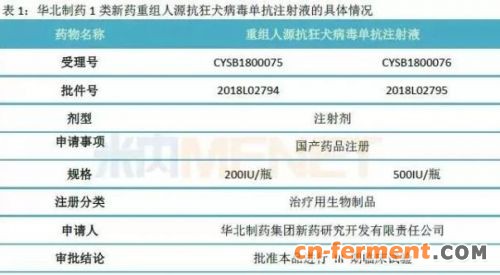 1类狂犬病毒单抗即将面世 能否填补疫苗市场空位？