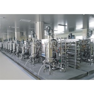 10升50升机械搅拌发酵罐（可QQ咨询）