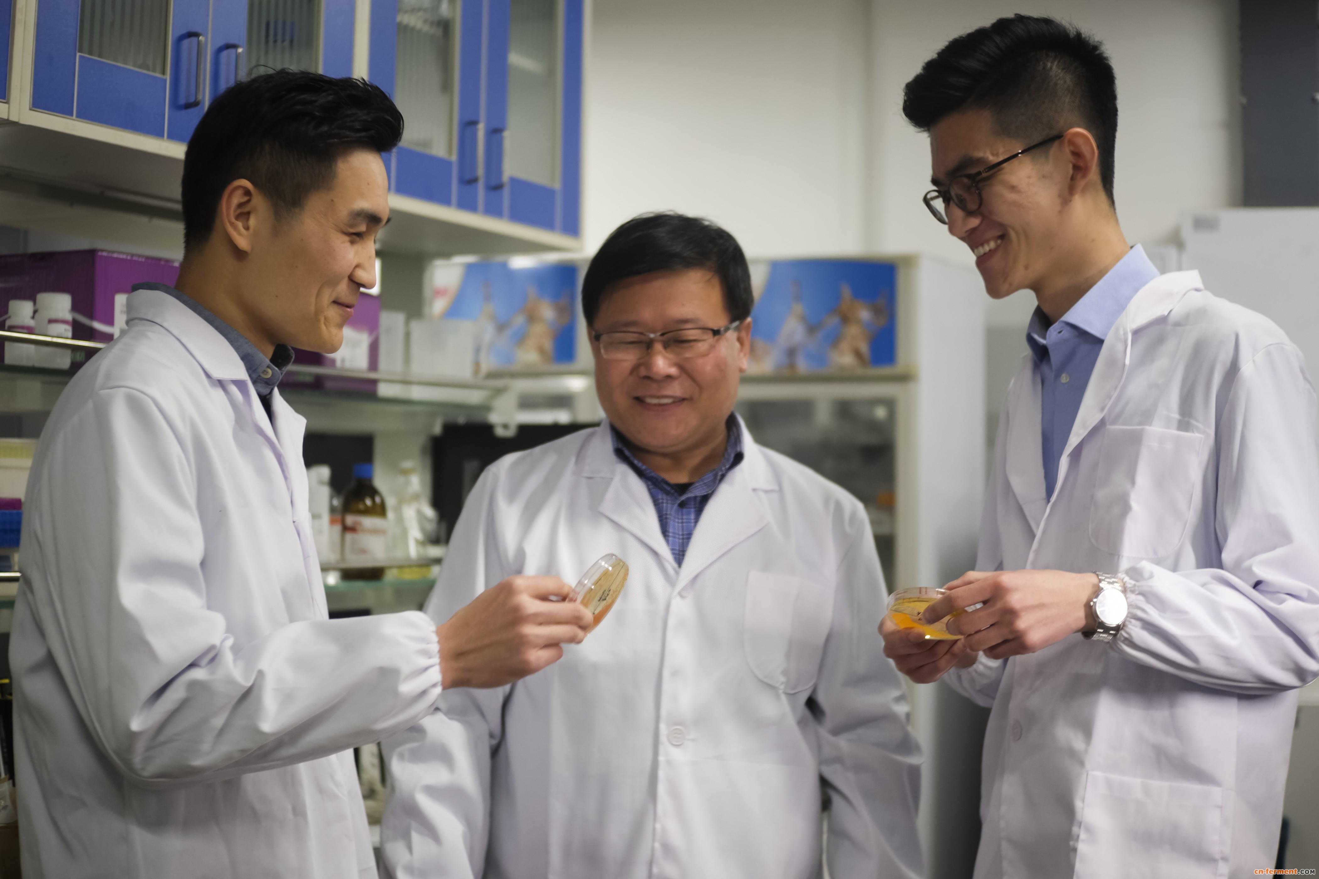图为元英进教授（中）与团队成员吴毅（左）、谢泽雄在天津大学化工学院实验室内交流（2013年1月5日摄）。新华社发