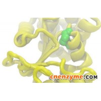 求购谷氨酰胺转氨酶（TG酶）的基因工程菌高产菌种
