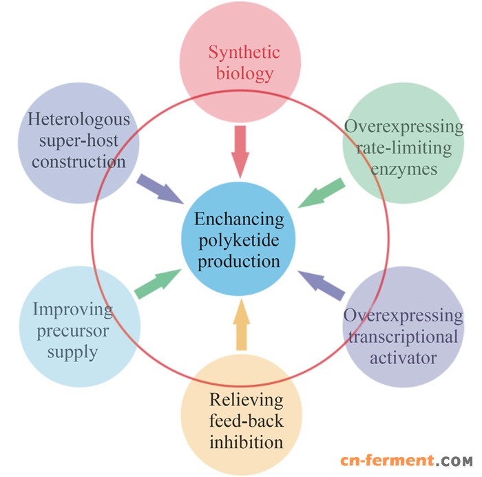 图 1. 链霉菌聚酮合成高效生产方法 