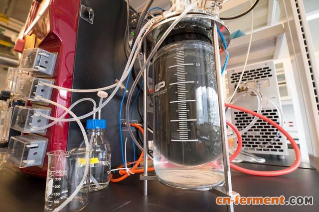 这家公司能把食物垃圾转化为3D打印材料