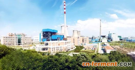 江苏国信协联能源有限公司