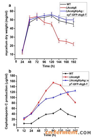 Acatg8的诱导性表达和破坏可显著提高头孢菌素C的产量