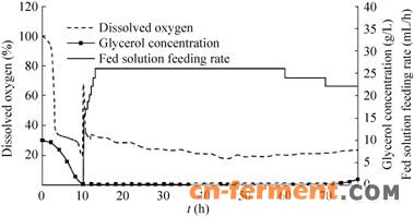 图4 分批补料发酵GD-51菌株过程中甘油浓度、溶氧和补料速度的变化 