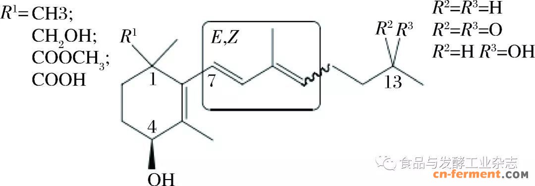 范超┃三孢布拉霉发酵生产类胡萝卜素的产业化关键点探讨-雪花新闻