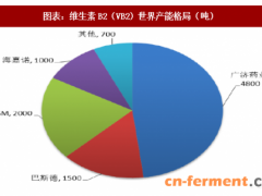 2018年我国维生素B2行业市场现状分析及未来趋势展望