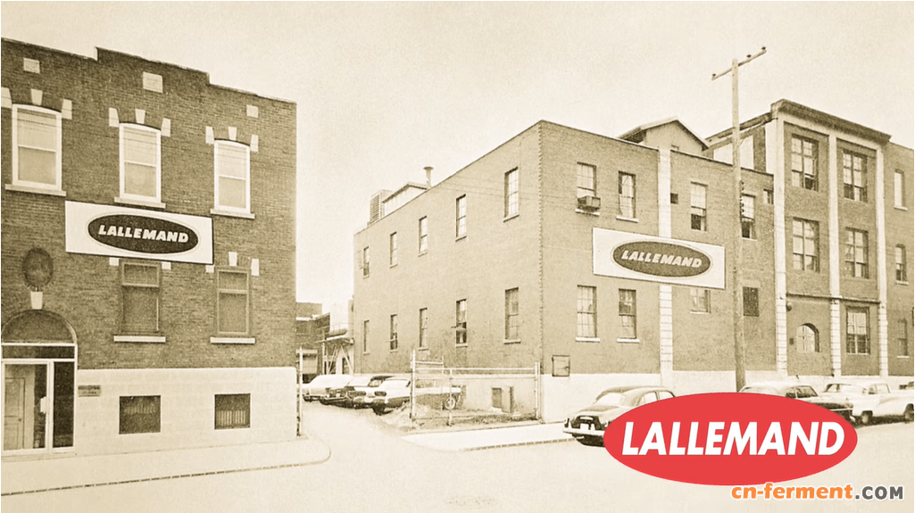 LALLEMAND-酵母维生素