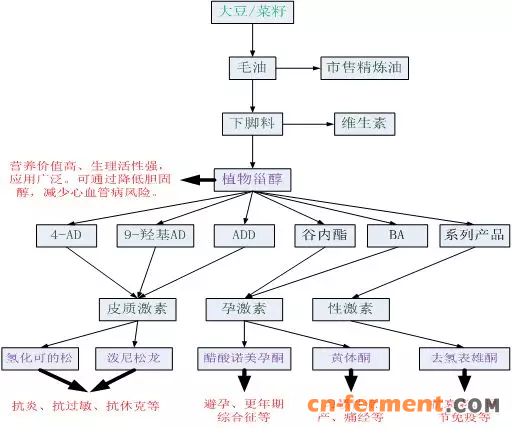 丽江映华8