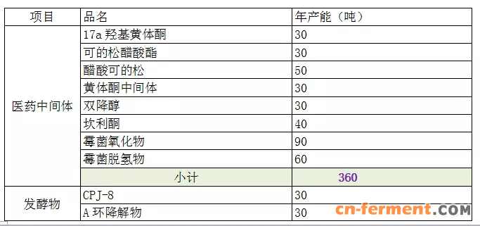 丽江映华6