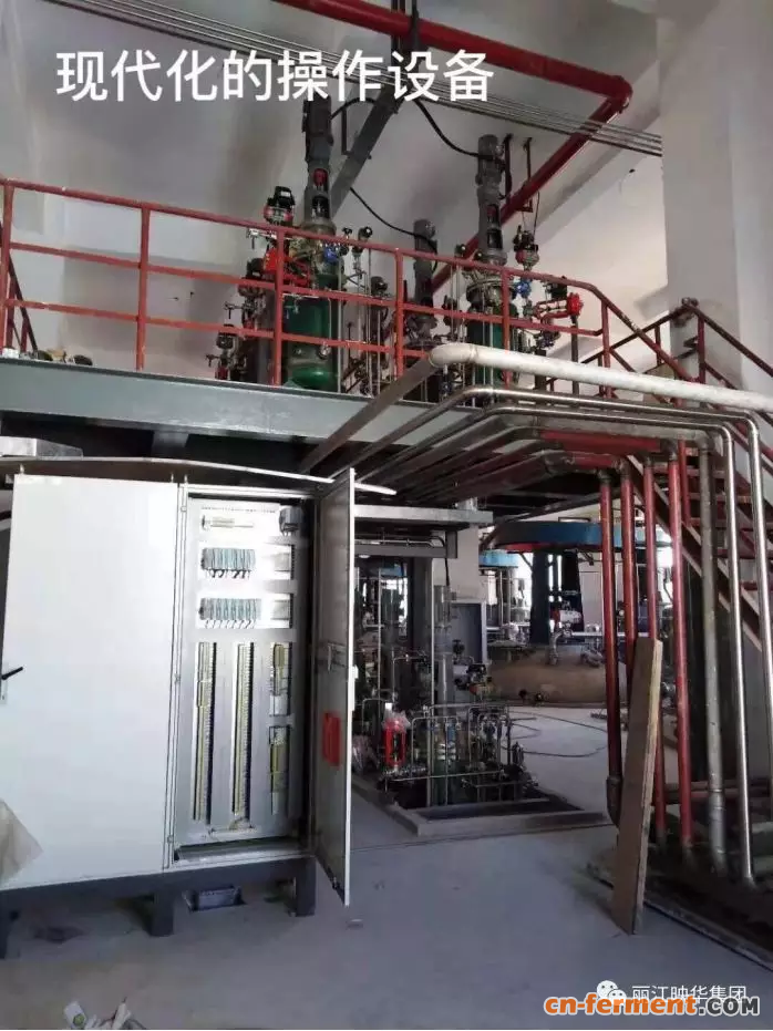 丽江映华大罐2