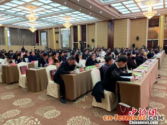 大会现场。 郭其钰 摄 大会现场。 郭其钰 摄