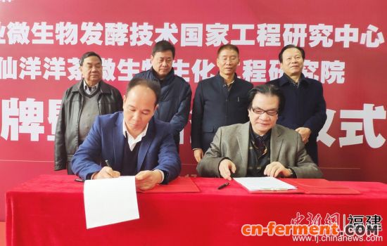 图为签约现场。 颜颜 摄