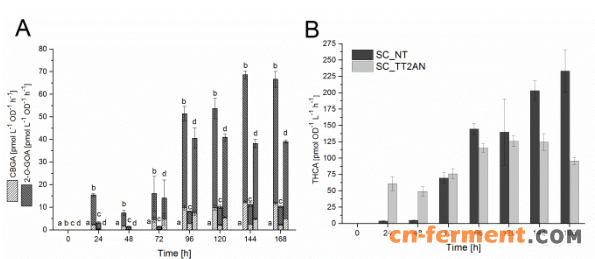 图4.摇瓶培养酿酒酵母细胞和产物形成分析