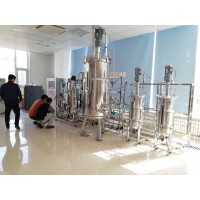 10L50L500L三级发酵罐