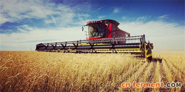 农业生物技术专业