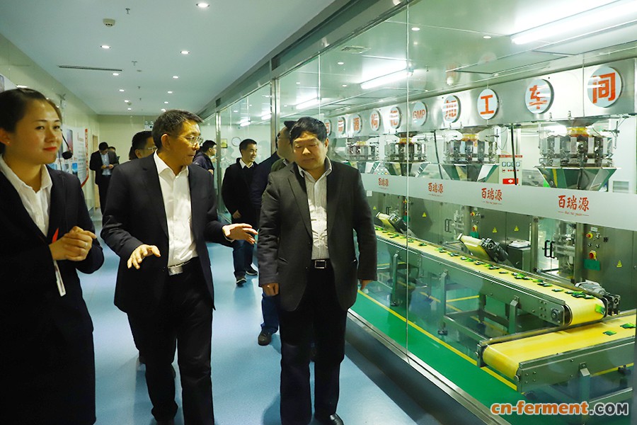 ▲中国工程院院士、江南大学校长陈坚（右一）率领的项目组专家调研百瑞源GMP加工车间