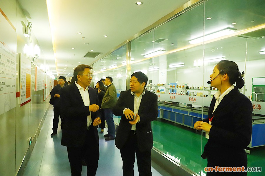 中国工程院院士、江南大学校长陈坚率领的项目组专家调研百瑞源研发实验室