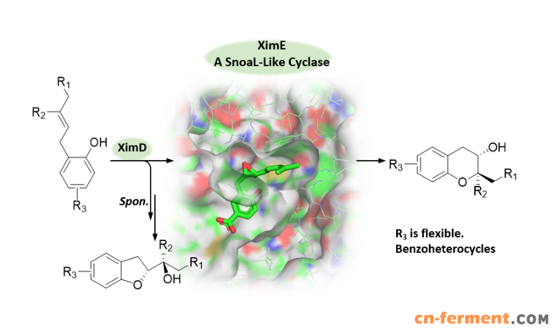 20190517_014744_883.png image001.png