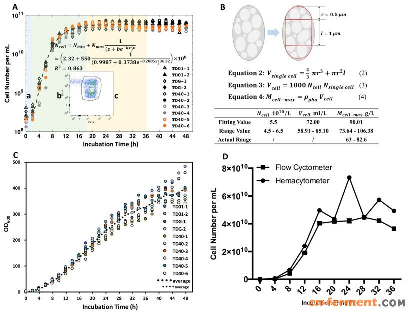 盐单胞菌用于低成本P34HB的工业化中试放大生产